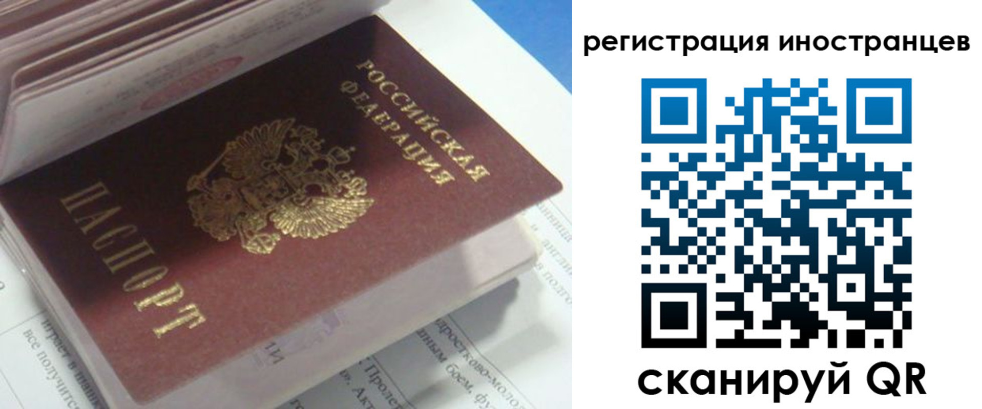 пропишу в квартире в Ермолино